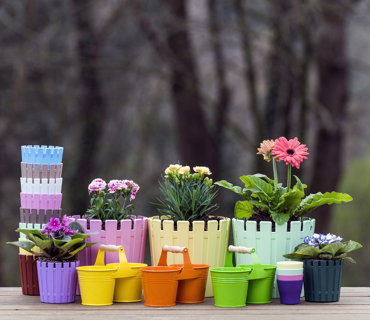 Zalety doniczek marki Prosperplast